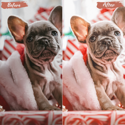 Christmas Holiday Lightroom Preset