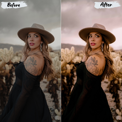 Dark Moody Lightroom Preset