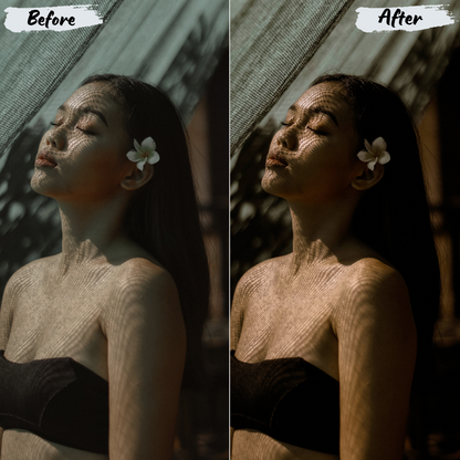 Dark Moody Lightroom Preset