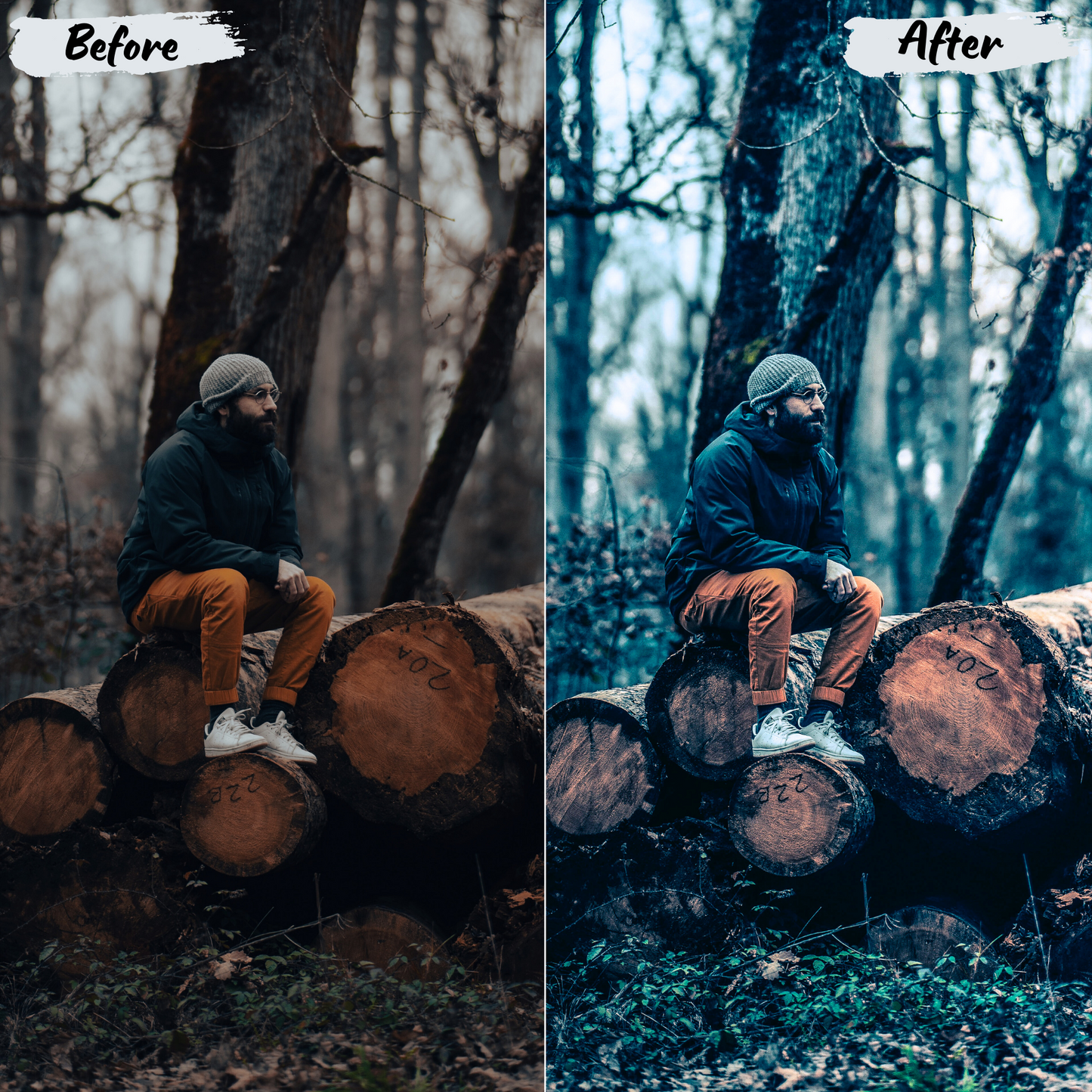 Forest Lightroom Preset