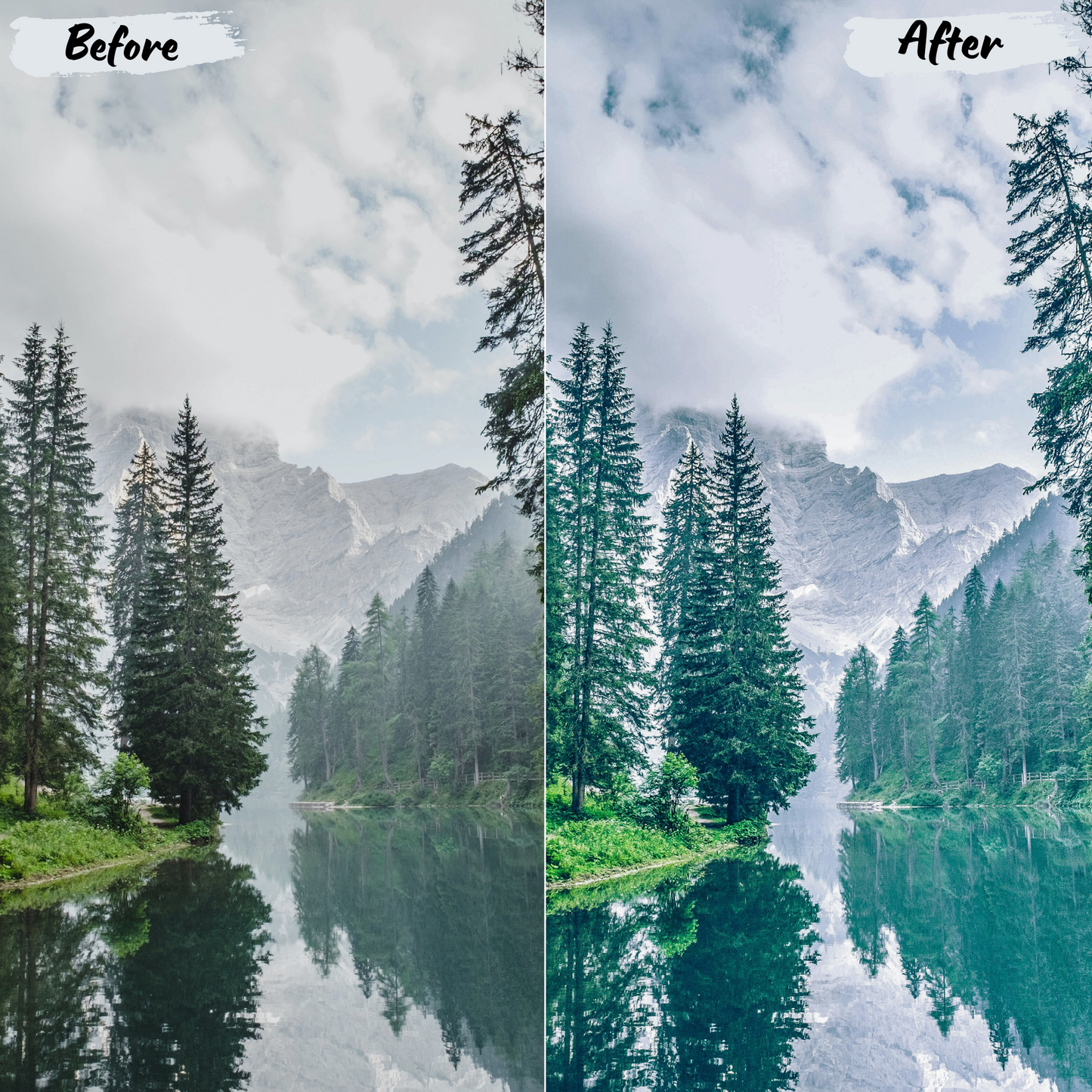 Forest Lightroom Preset