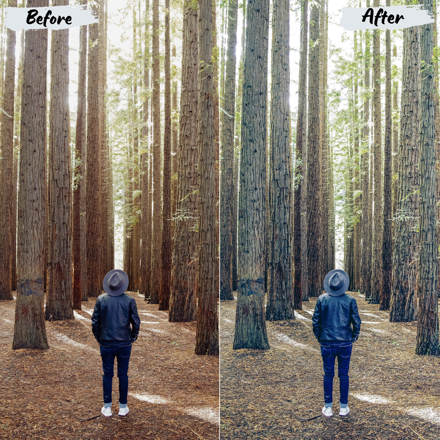 Forest Lightroom Preset