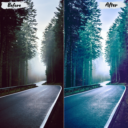 Forest Lightroom Preset