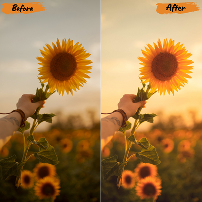 Golden Hour Lightroom Preset