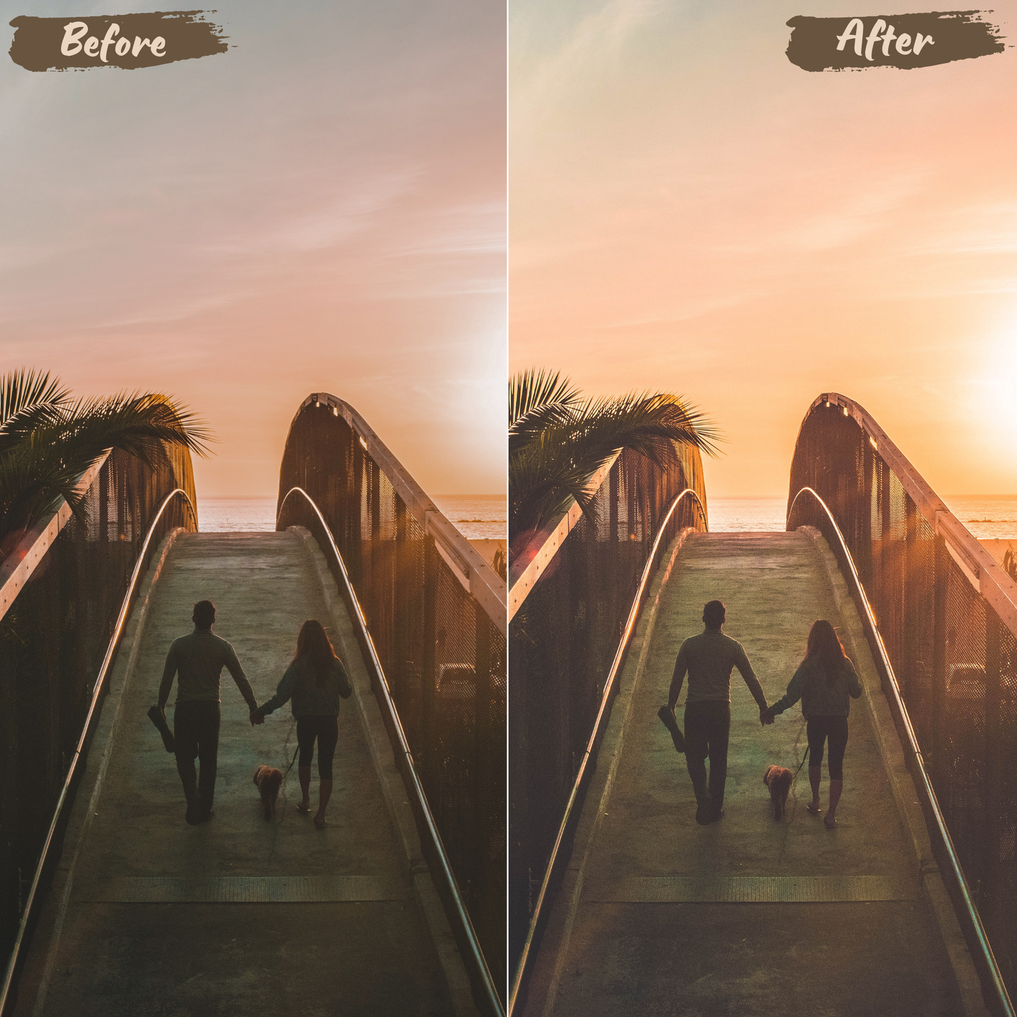 Golden Hour Lightroom Preset