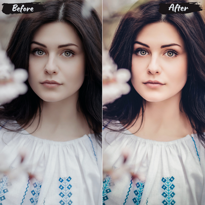 Insta Set Lightroom Preset