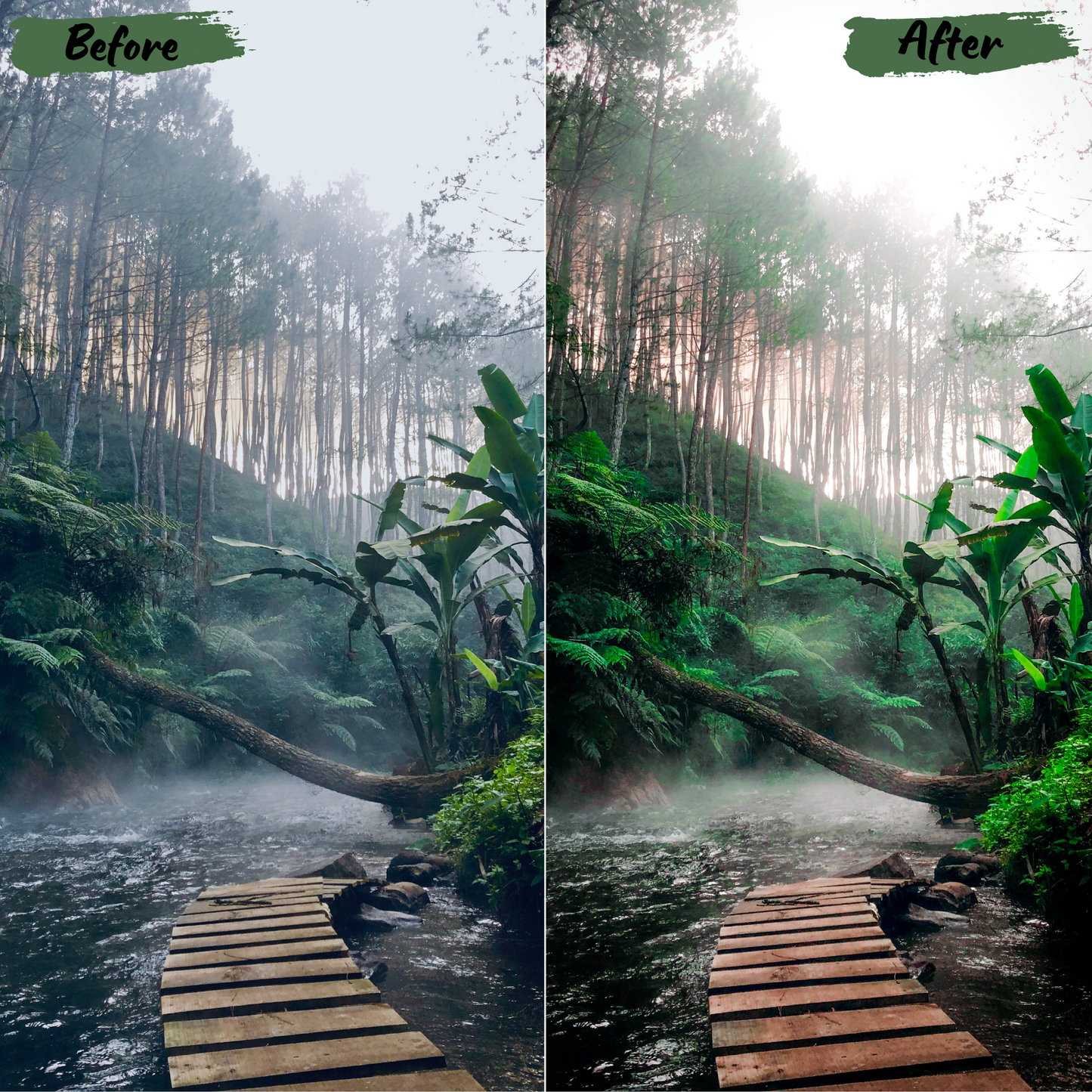 Jungle Lightroom Preset