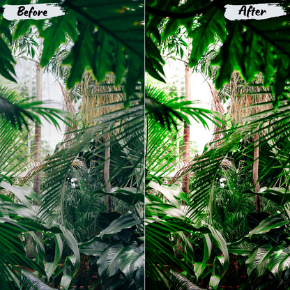 Jungle Lightroom Preset