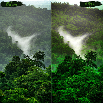 Jungle Lightroom Preset