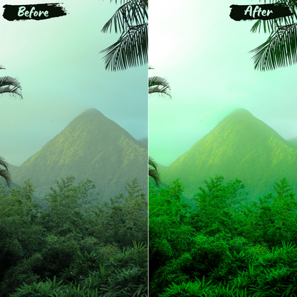 Jungle Lightroom Preset