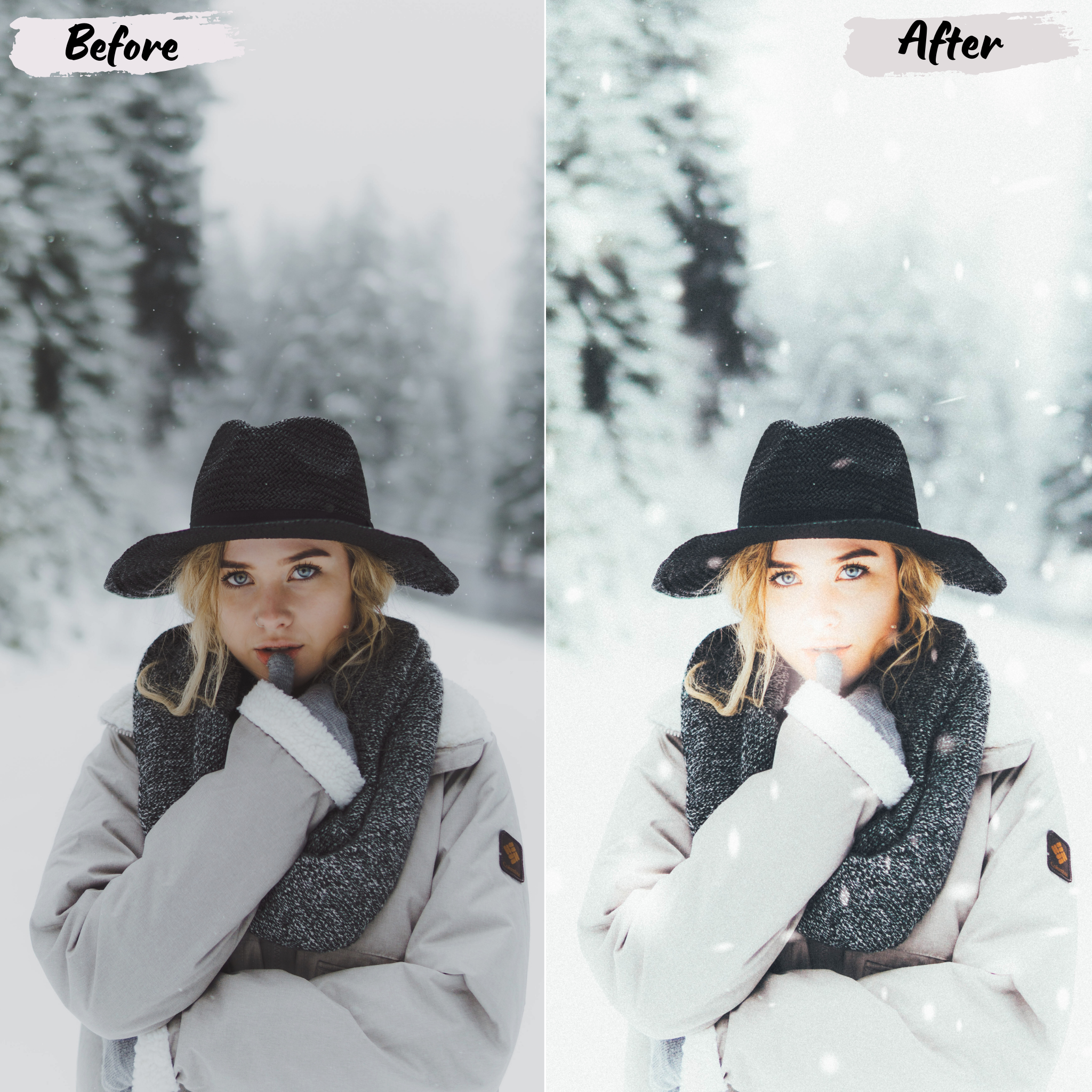 Winter Lightroom Preset