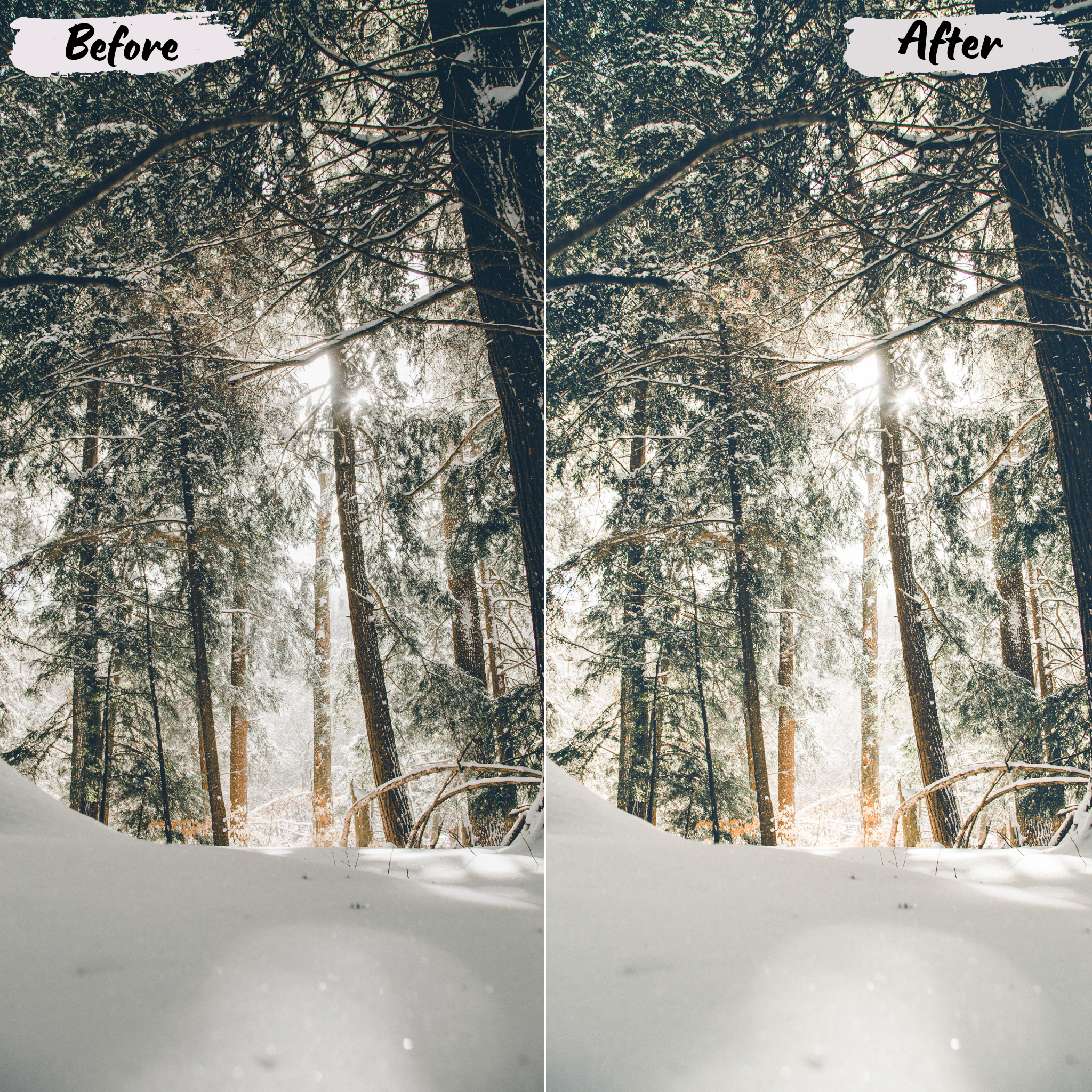 Winter Lightroom Preset