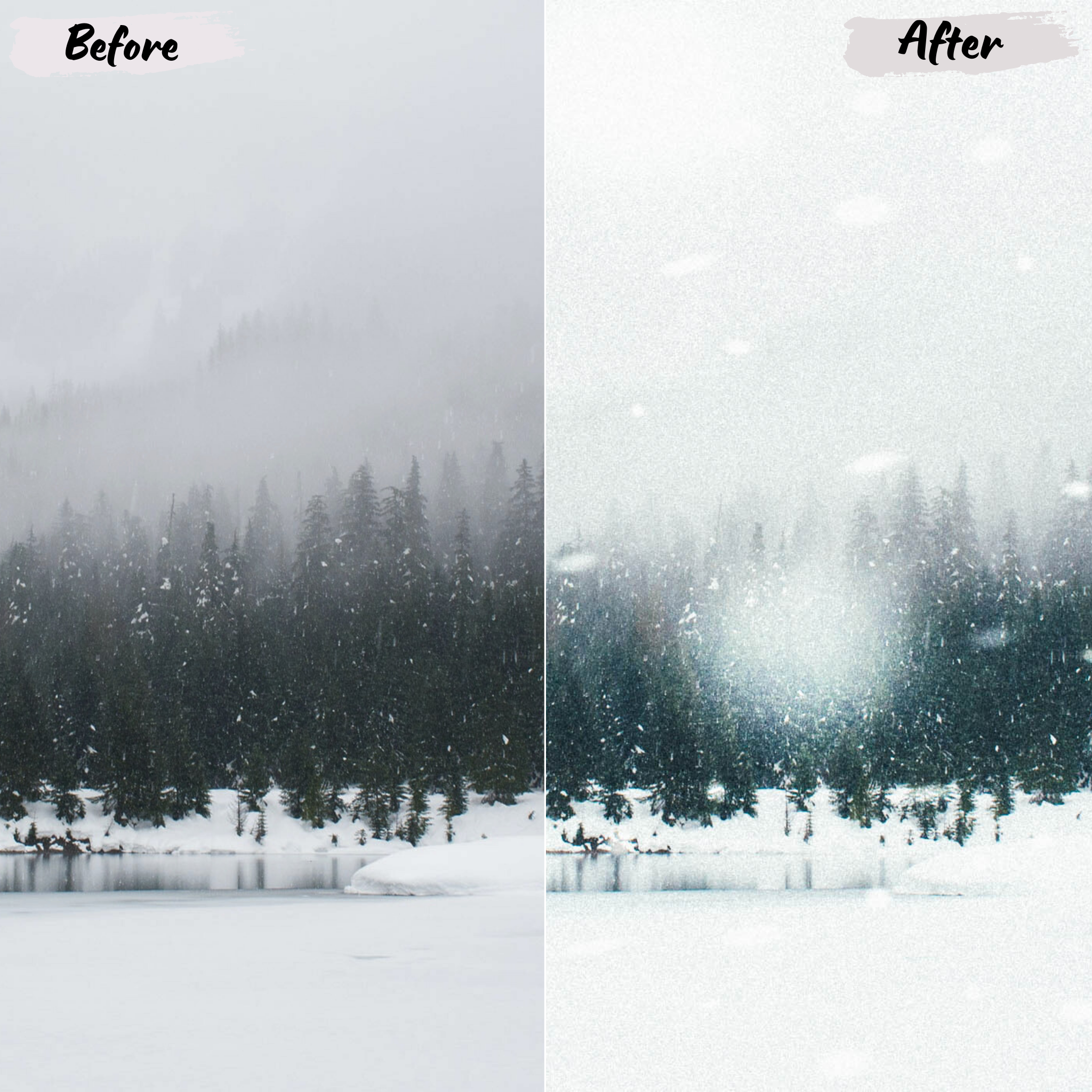 Winter Lightroom Preset