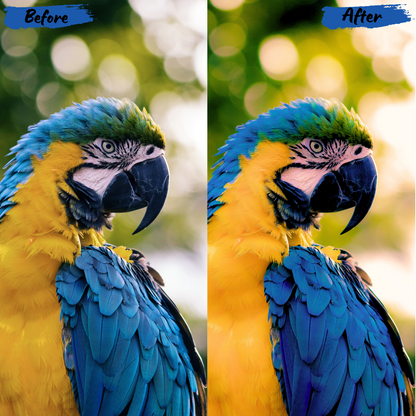 Animals Lightroom Preset