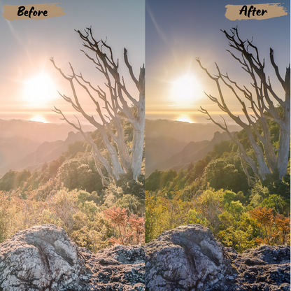 Landscape Lightroom Preset