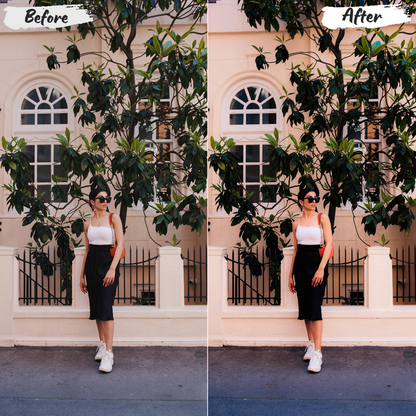 Blogger Lightroom Preset