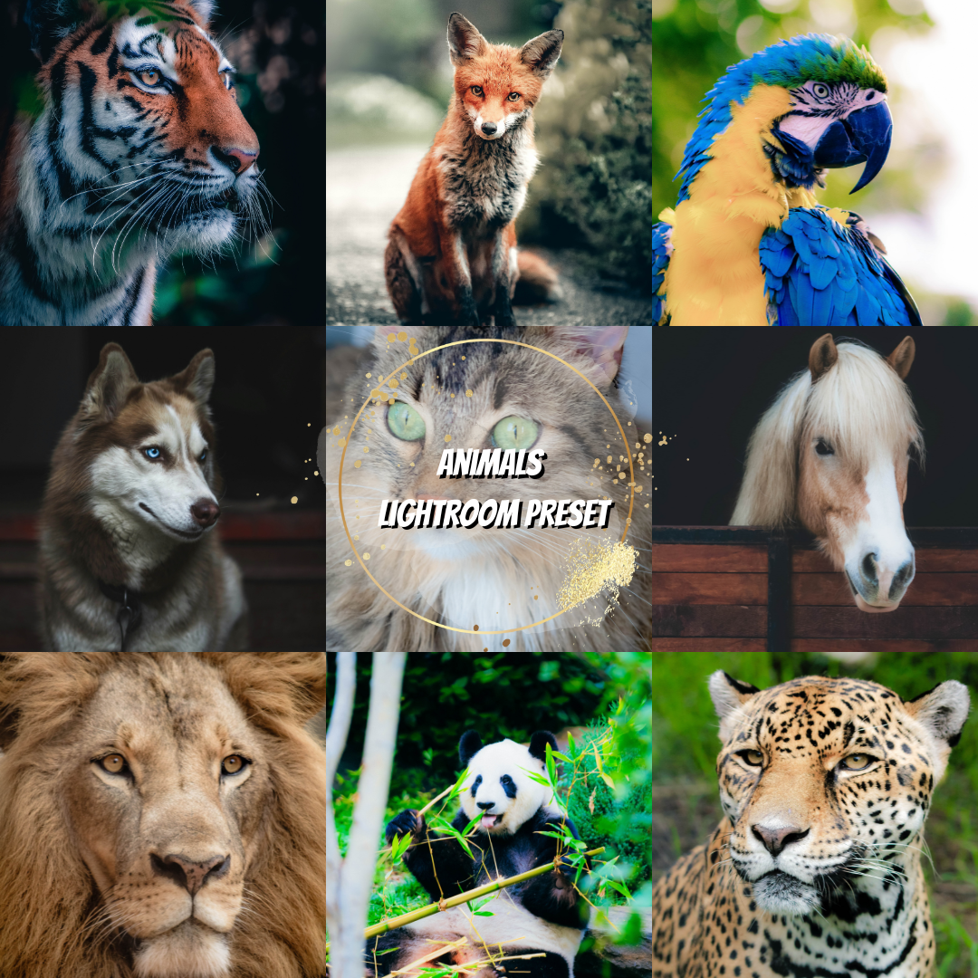 Animals Lightroom Preset