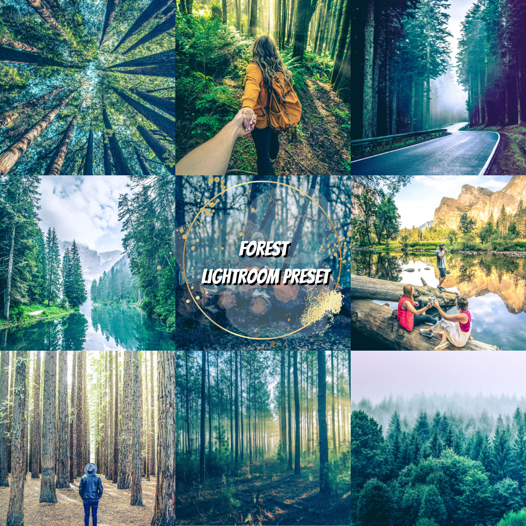 Forest Lightroom Preset