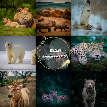 Wildlife Lightroom Preset